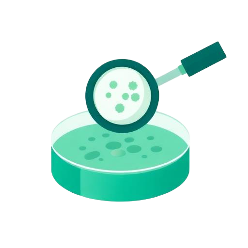 Mold Testing
